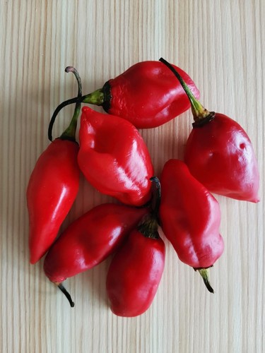 Graines piment - 50, de