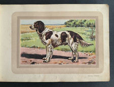 Hunting, French spaniel, color board, Castellan, Malher, Samat, 1938