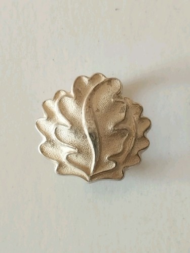 Feuilles chêne argent - en,