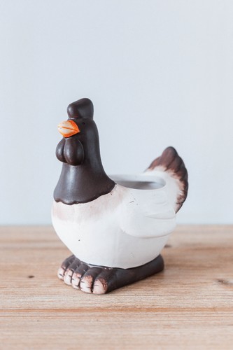 Decorative resin chicken