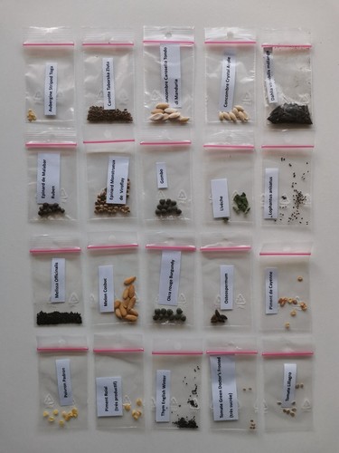 Collection variétés de - 20,