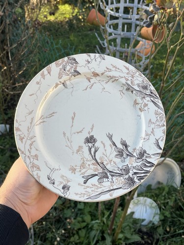 Compotier bas polychrome - compotier,