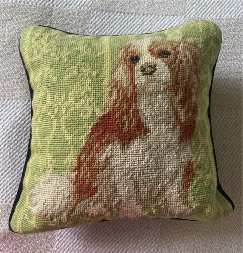Cavalier king charles - cavalier,