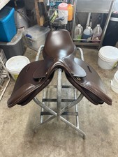 Camelot Children’s English