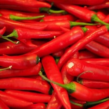 Lot De 25 Graines De Piment De