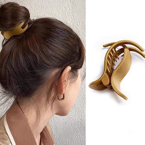 Pince cheveux plastique - cheveux,