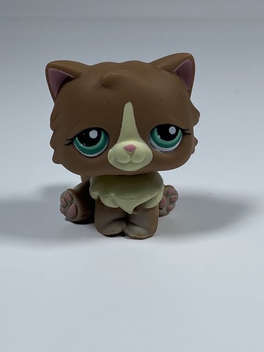 Petshop chat persan - -, n°