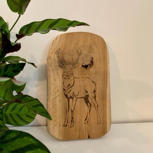 Planche rustique bois - en, de