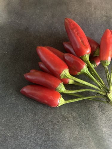 Graines de piment - 30,