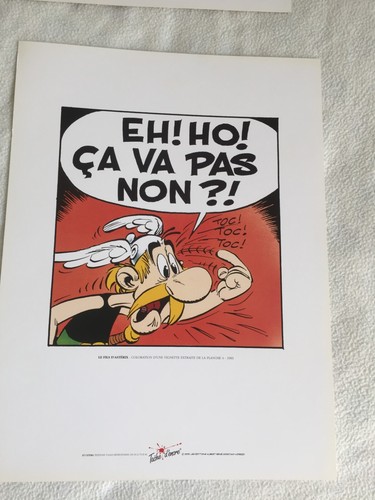 Sérigraphie astérix fils - sérigraphie, le