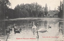 21 CYGNES AU PARC DE LA BOUZAIZE - CARD ISSUE NOTEBOOK - 82358