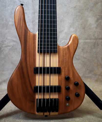 Aio string fretless bass - 6-string,