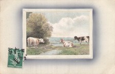 ILLUSTRATED CP LANDSCAPE COWS FRAME - 63707