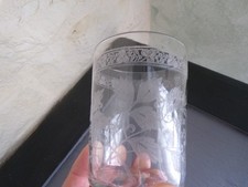 Beautiful Antique Engraved Baccarat Crystal Tumbler Glass