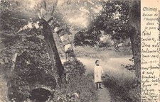 Belgium - CHIMAY (Hainaut) Ruins of the hospice in the park