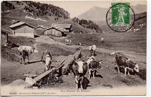 Suisse switzerland chalets - suisse,