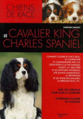 Cavalier king charles - charles,