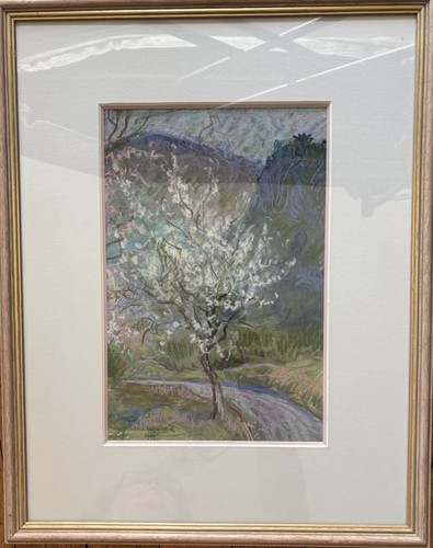 Cerisier fleurs daniel - en,