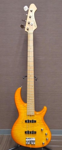 Guitare basse électrique - , aria