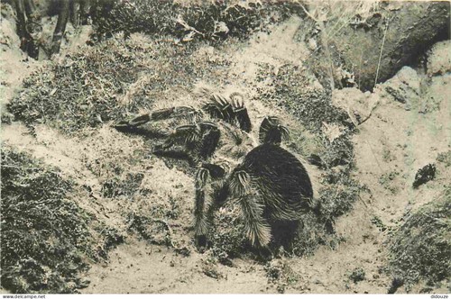 Carte postale ancienne - -, 75