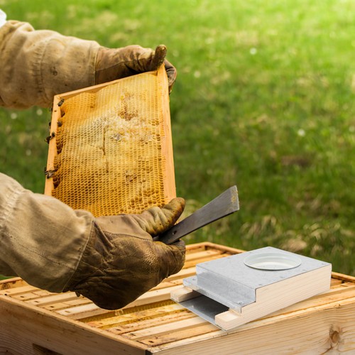 Materiel apiculture mangeoire - materiel,