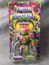 Tmnt Vs Grayskull MoTu Raphael