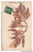 CAR-ADVP13-0754-85 - AIGUES