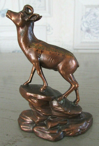 Petit chamois régule - chamois,