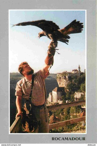 Carte postale animaux - postale,