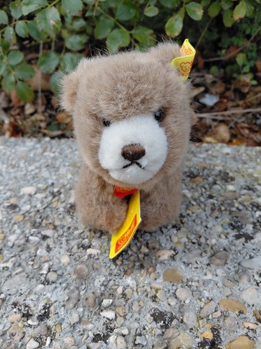 Ours steiff modèle browny - browny, n°