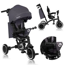 Vélo d'éveil LIONELO Tris Plus Tricycle de 9 mois à 5 ans Poussette