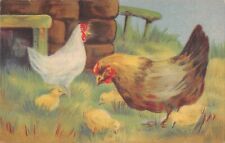 Postcard fantasy / birds / chicken and rooster