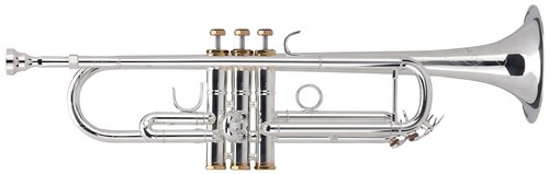 Lechgold trompette sib - en,