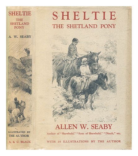 Seaby allen sheltie - allen,