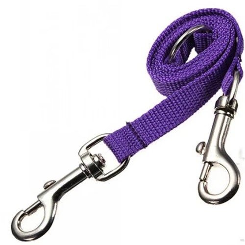 Double laisse chien coupleur
