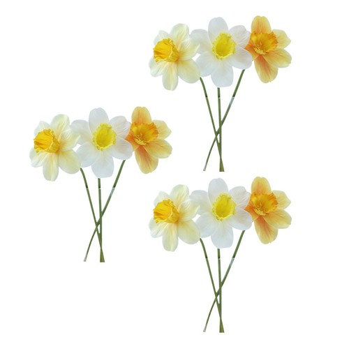 Pcs fleur jonquille - pcs,