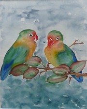 DESSIN ANIMALIER OISEAUX LE COUPLE D'INSEPARABLES (AGAPORNIS) SIGNE D. ZEDER 199