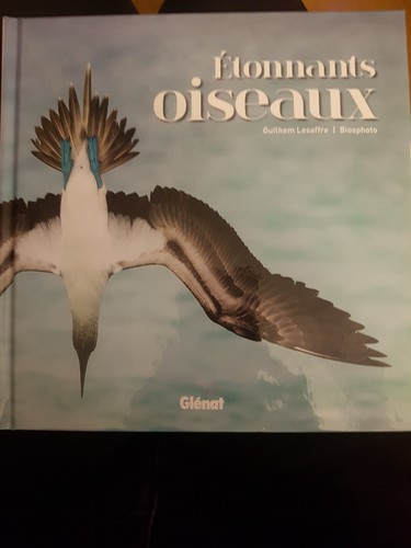 Etonnants oiseaux lesaffre - etonnants,