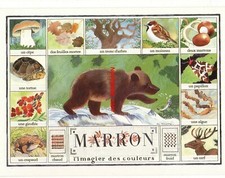 TOUVAY MONIQUE LES COULEURS L’OURS BRUN MARRON BOLETO BEAR TURTLE DEER CAST
