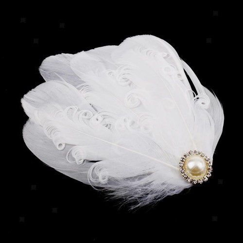 Pince cheveux fascinateur - pince,
