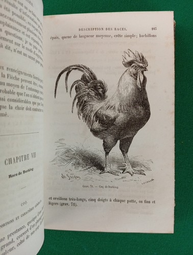 Poulailler monographie des - le,