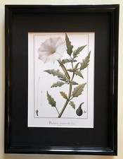 Illustration couleurs d'après