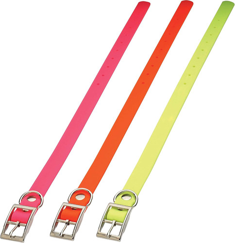 Collier chien chasse pvc - collier,