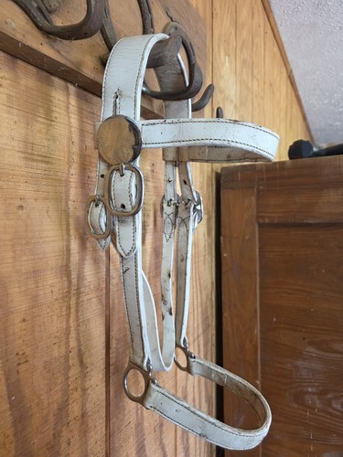 Draft size bitless bridle - bridle, /