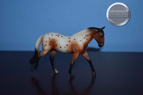 Bay appaloosa cob irish - cob-irish,