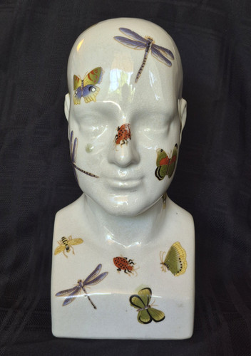 Glazed phrenology ceramic head - glazed,