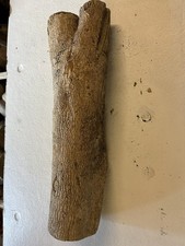 Bois De Buis Sculpture