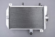 Radiateur d Eau Type Racing en Aluminium SUZUKI BURGMAN 650 WVBU 2013-2018