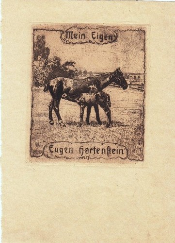 Exlibris livre art - exlibris,