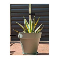 Bac a fleurs rond RIVIERA